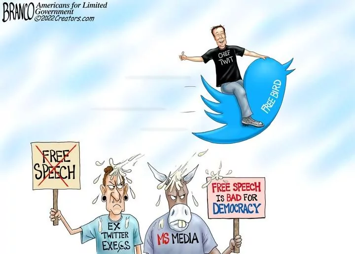A.F. Branco for Nov 01, 2022
