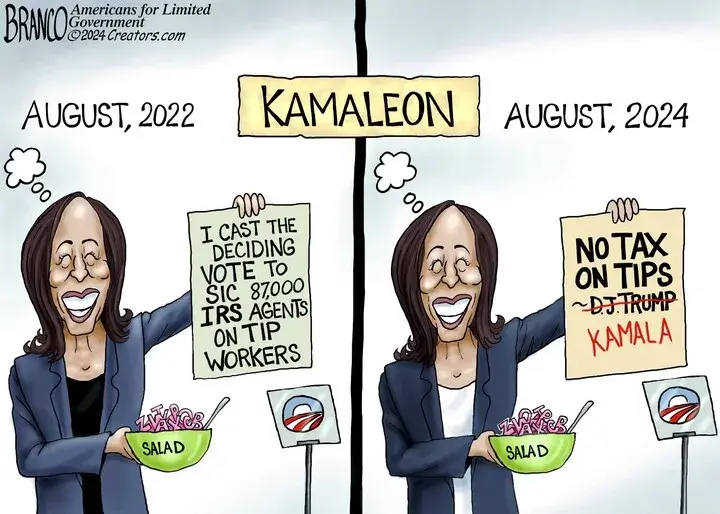 A.F. Branco for Aug 13, 2024